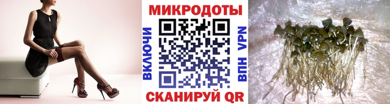Галлюциногенные грибы ЛСД  гидра ONION  Кочубеевское 